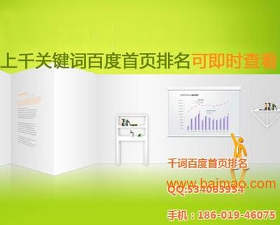 北京網(wǎng)站優(yōu)化與網(wǎng)絡(luò)營銷推廣 賦能中小企業(yè)線上增長新引擎